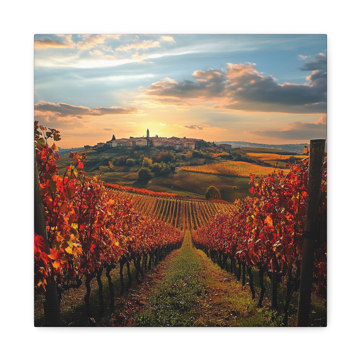 Italian Vineyard Bliss – A Tribute to Autumn in Piedmont